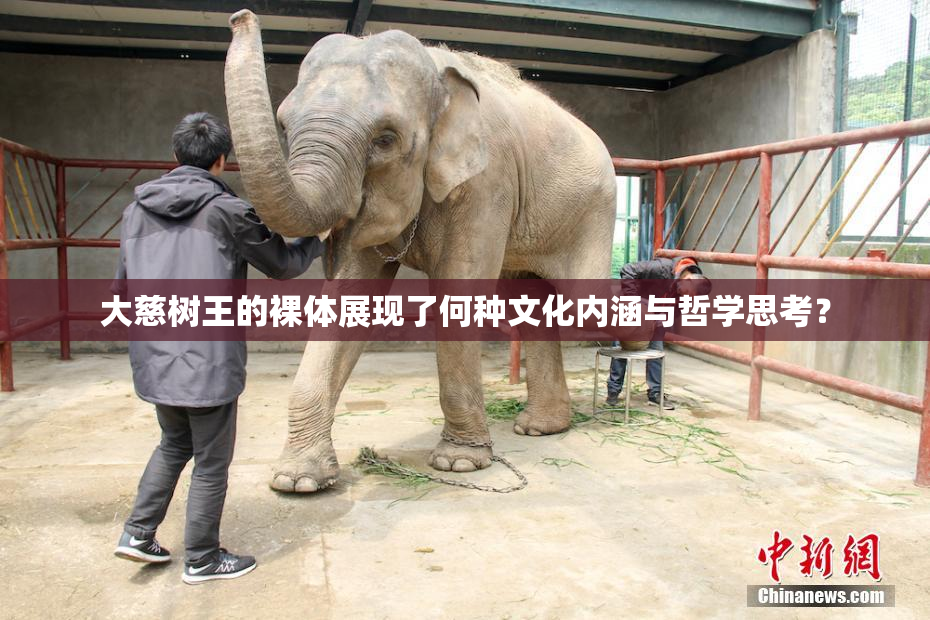 大慈树王的裸体展现了何种文化内涵与哲学思考？