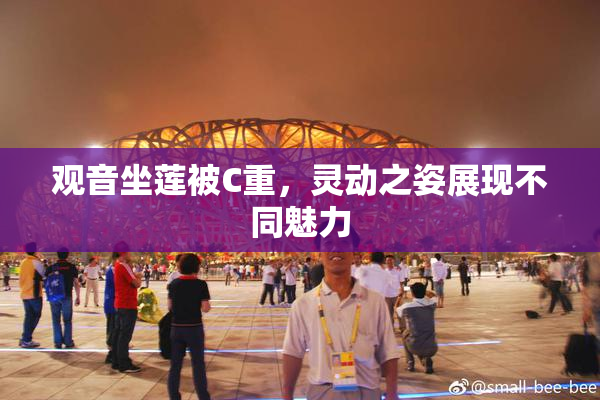 观音坐莲被C重，灵动之姿展现不同魅力