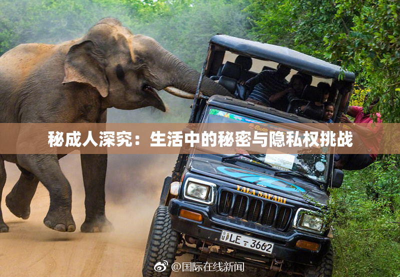 秘成人深究：生活中的秘密与隐私权挑战