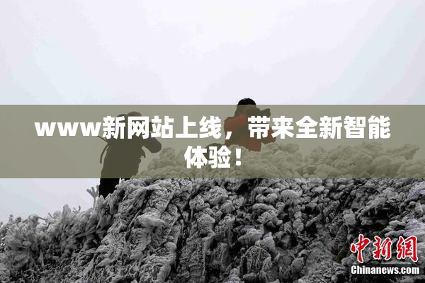 www新网站上线，带来全新智能体验！