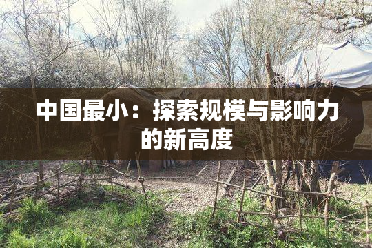 中国最小：探索规模与影响力的新高度