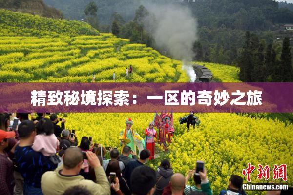 精致秘境探索：一区的奇妙之旅