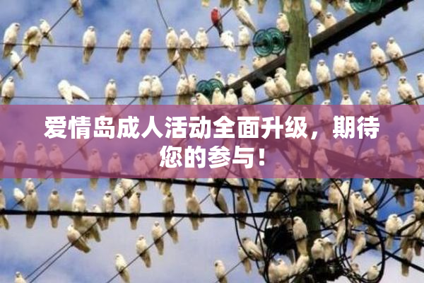 爱情岛成人活动全面升级，期待您的参与！
