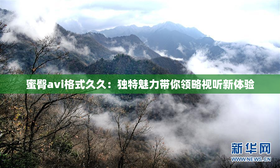蜜臀avi格式久久：独特魅力带你领略视听新体验