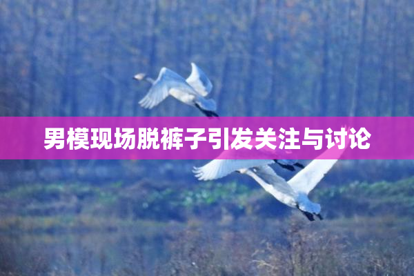 男模现场脱裤子引发关注与讨论