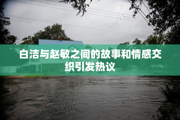 白洁与赵敏之间的故事和情感交织引发热议