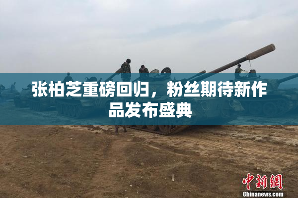 张柏芝重磅回归，粉丝期待新作品发布盛典