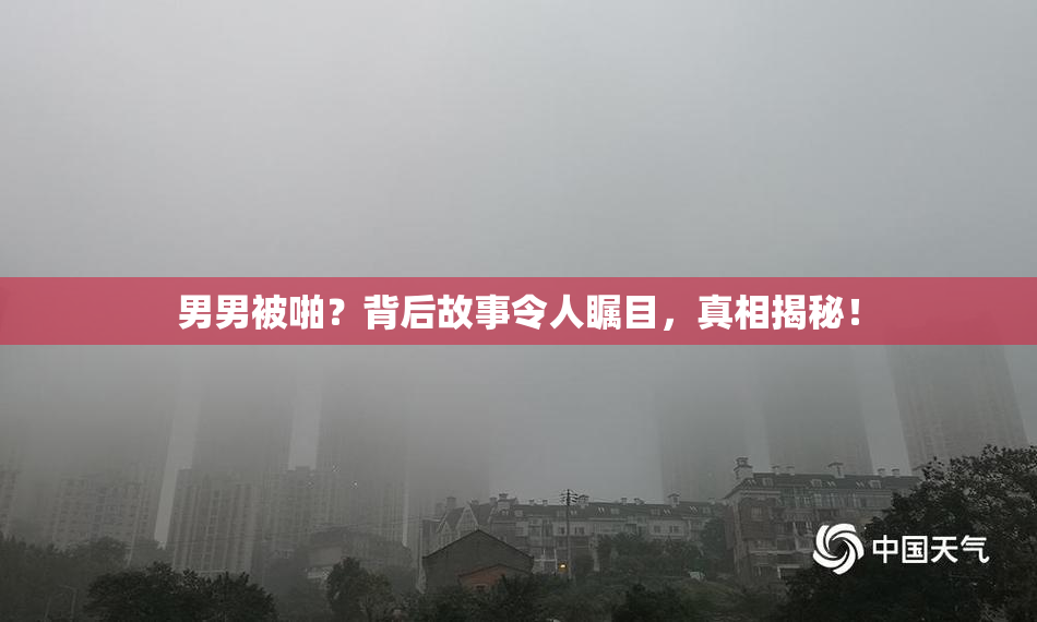 男男被啪？背后故事令人瞩目，真相揭秘！