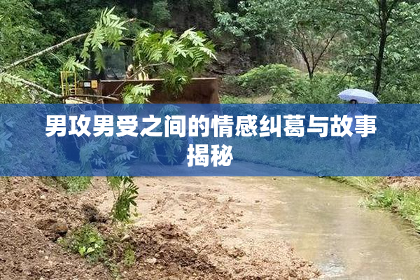 男攻男受之间的情感纠葛与故事揭秘