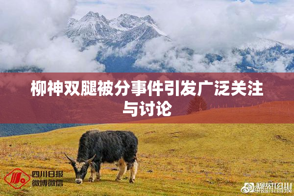柳神双腿被分事件引发广泛关注与讨论
