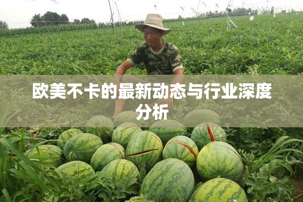 欧美不卡的最新动态与行业深度分析