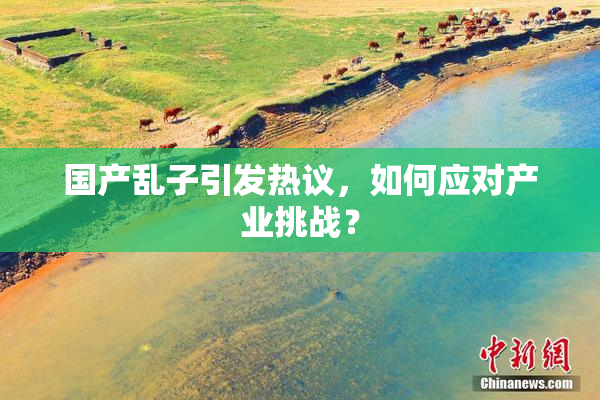 国产乱子引发热议，如何应对产业挑战？