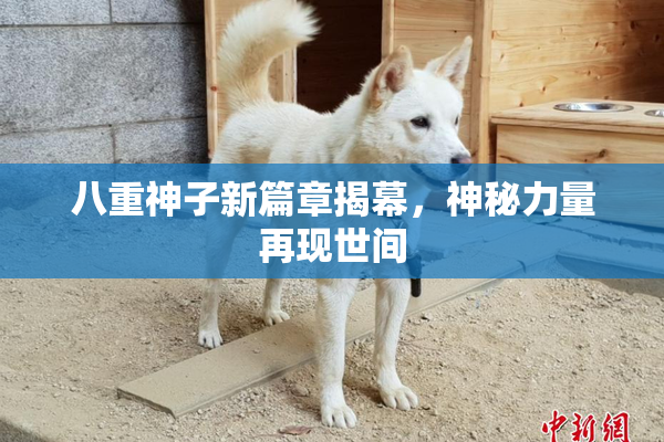 八重神子新篇章揭幕，神秘力量再现世间