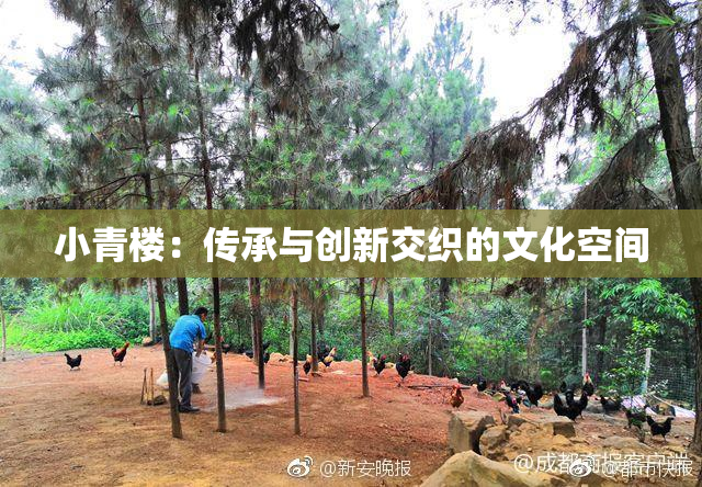 小青楼：传承与创新交织的文化空间