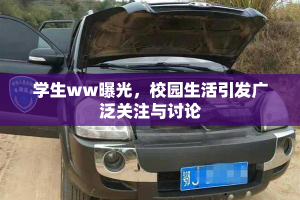 学生ww曝光，校园生活引发广泛关注与讨论