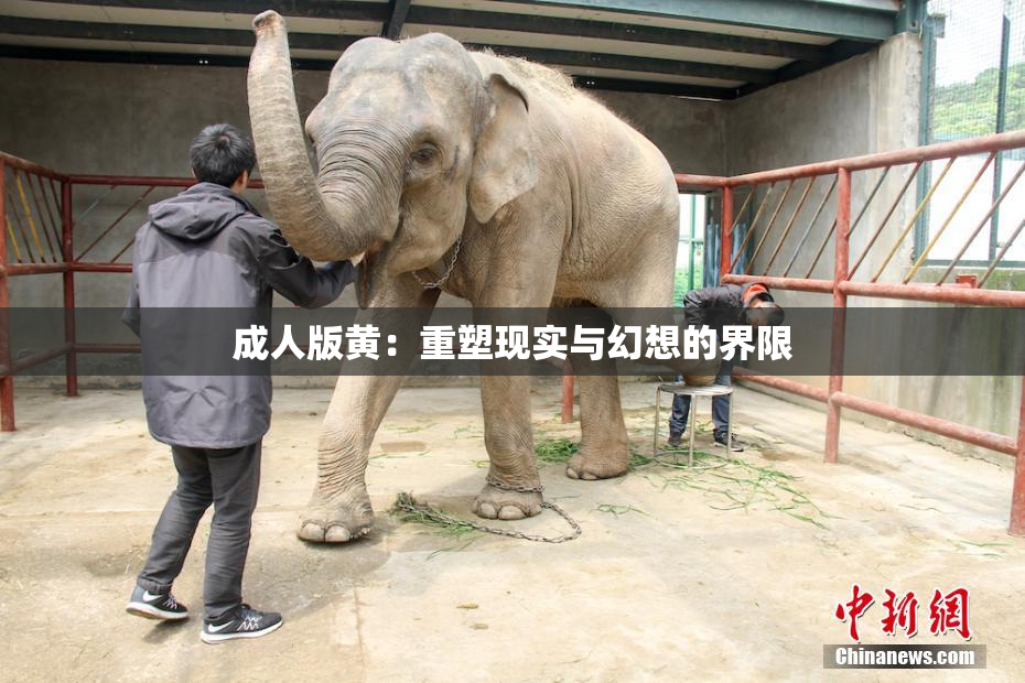 成人版黄：重塑现实与幻想的界限