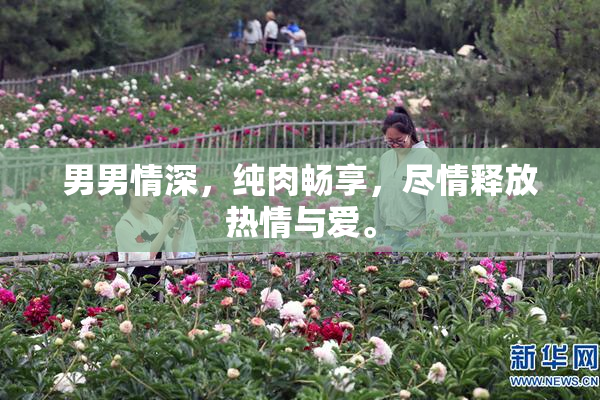 男男情深，纯肉畅享，尽情释放热情与爱。