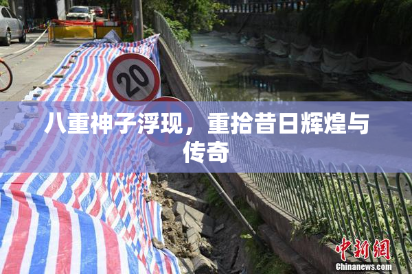 八重神子浮现，重拾昔日辉煌与传奇