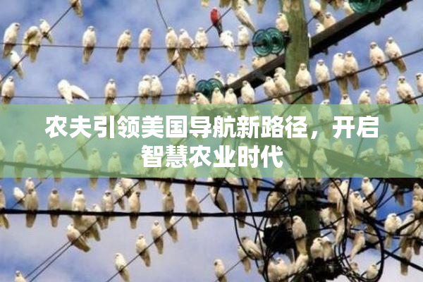 农夫引领美国导航新路径，开启智慧农业时代