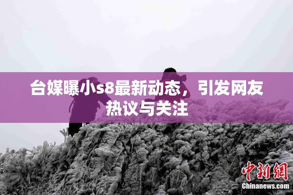 台媒曝小s8最新动态，引发网友热议与关注