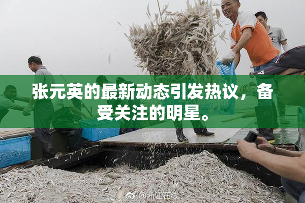 张元英的最新动态引发热议，备受关注的明星。