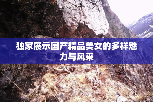 独家展示国产精品美女的多样魅力与风采