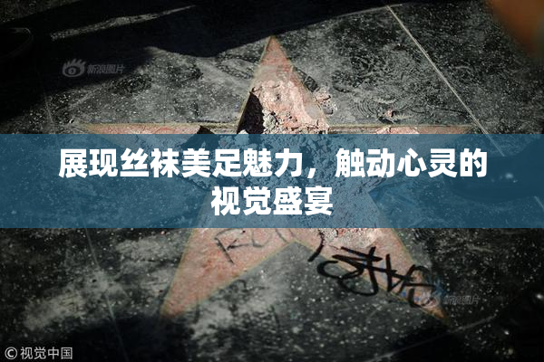 展现丝袜美足魅力，触动心灵的视觉盛宴