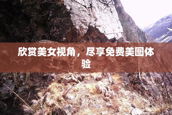 欣赏美女视角，尽享免费美图体验