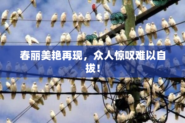春丽美艳再现，众人惊叹难以自拔！