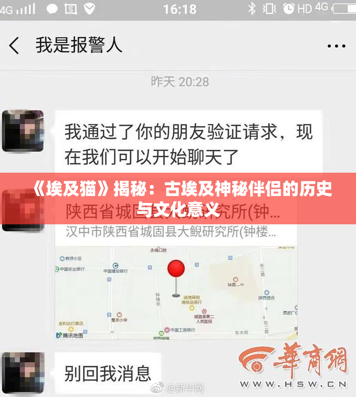 《埃及猫》揭秘：古埃及神秘伴侣的历史与文化意义