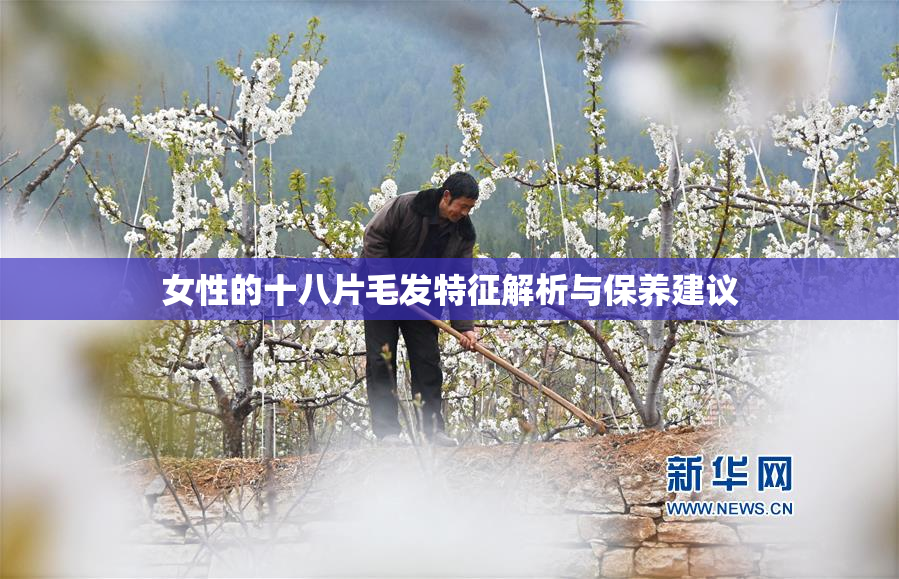 女性的十八片毛发特征解析与保养建议