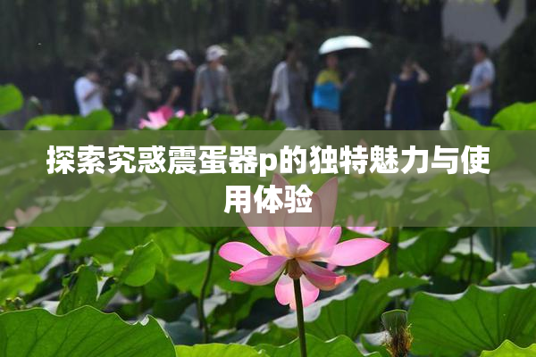 探索究惑震蛋器p的独特魅力与使用体验