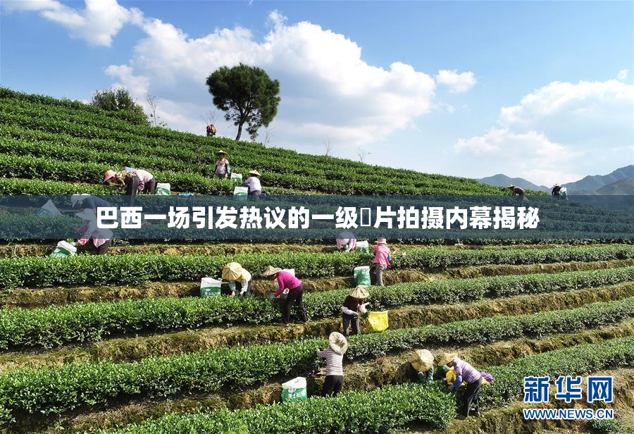 巴西一场引发热议的一级婬片拍摄内幕揭秘