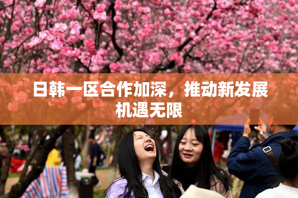 日韩一区合作加深，推动新发展机遇无限