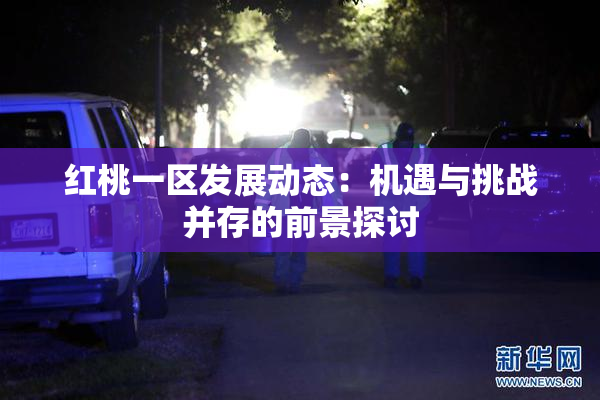 红桃一区发展动态：机遇与挑战并存的前景探讨