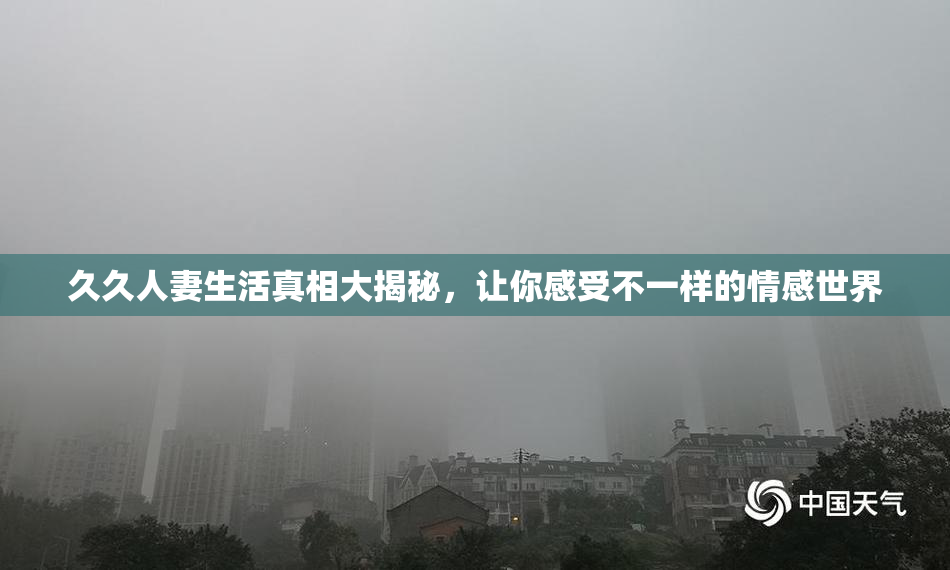 久久人妻生活真相大揭秘，让你感受不一样的情感世界