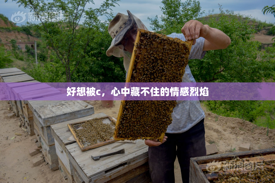 好想被c，心中藏不住的情感烈焰
