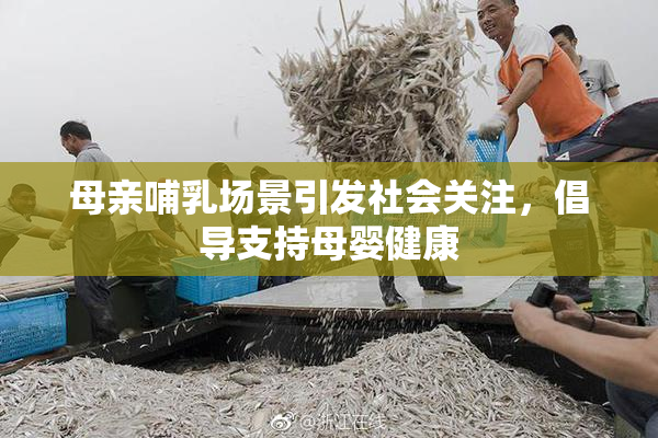 母亲哺乳场景引发社会关注，倡导支持母婴健康