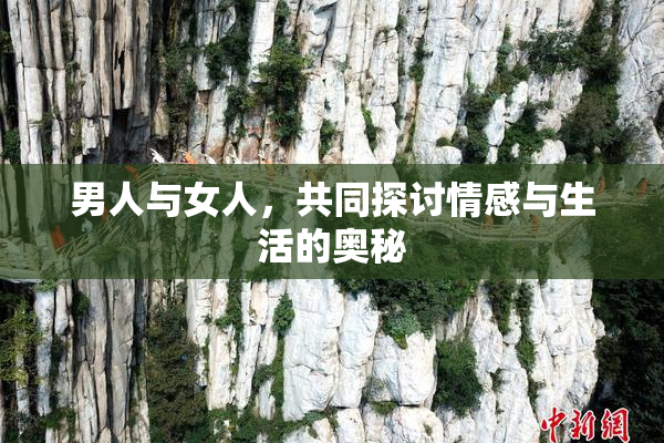 男人与女人，共同探讨情感与生活的奥秘