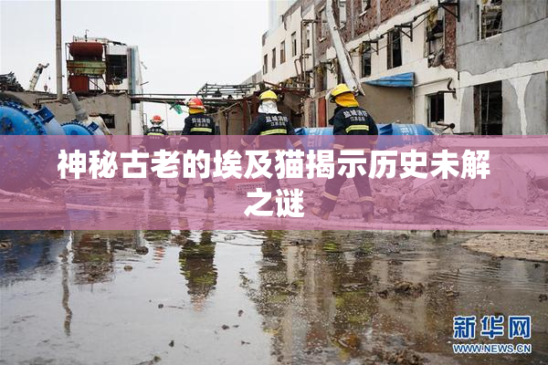 神秘古老的埃及猫揭示历史未解之谜