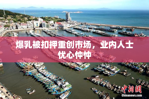爆乳被扣押重创市场，业内人士忧心忡忡