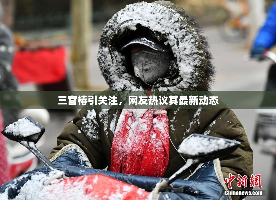 三宫椿引关注，网友热议其最新动态