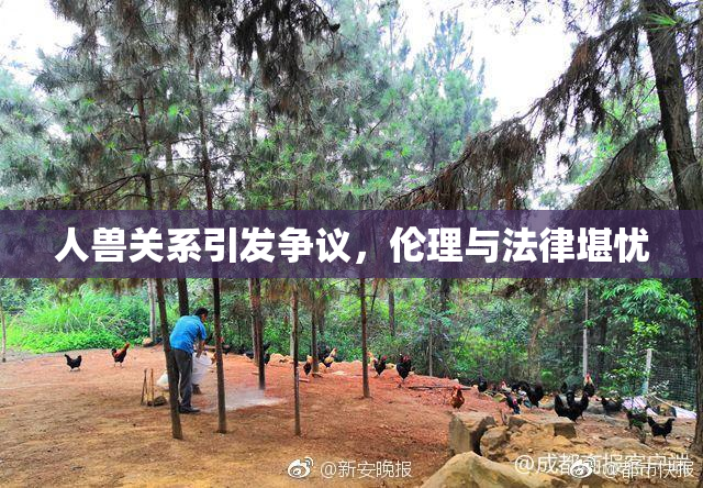 人兽关系引发争议，伦理与法律堪忧