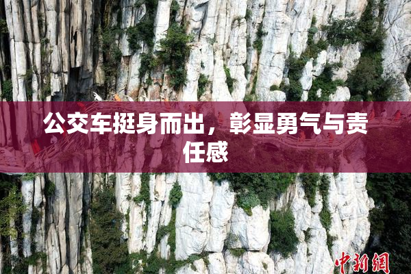 公交车挺身而出，彰显勇气与责任感