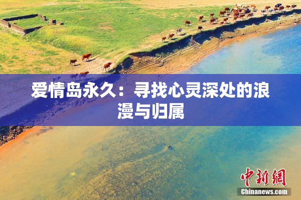 爱情岛永久：寻找心灵深处的浪漫与归属