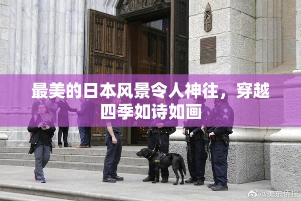 最美的日本风景令人神往，穿越四季如诗如画