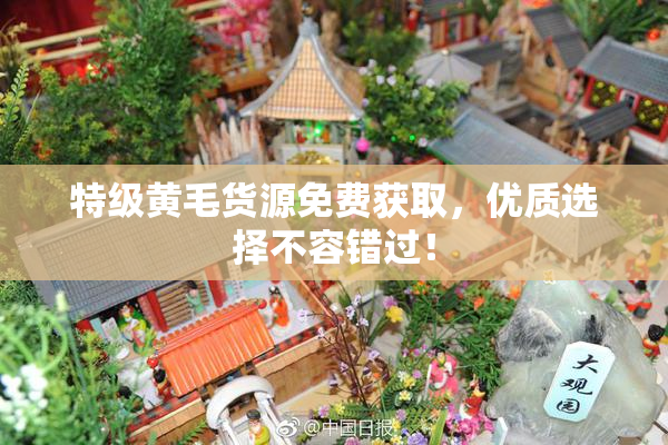 特级黄毛货源免费获取，优质选择不容错过！