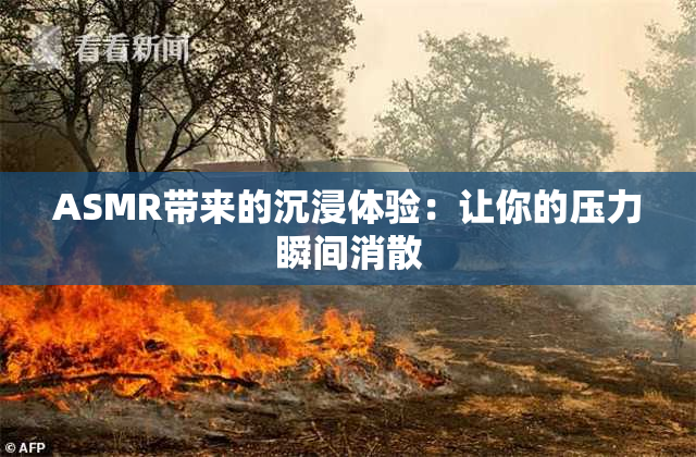 ASMR带来的沉浸体验：让你的压力瞬间消散