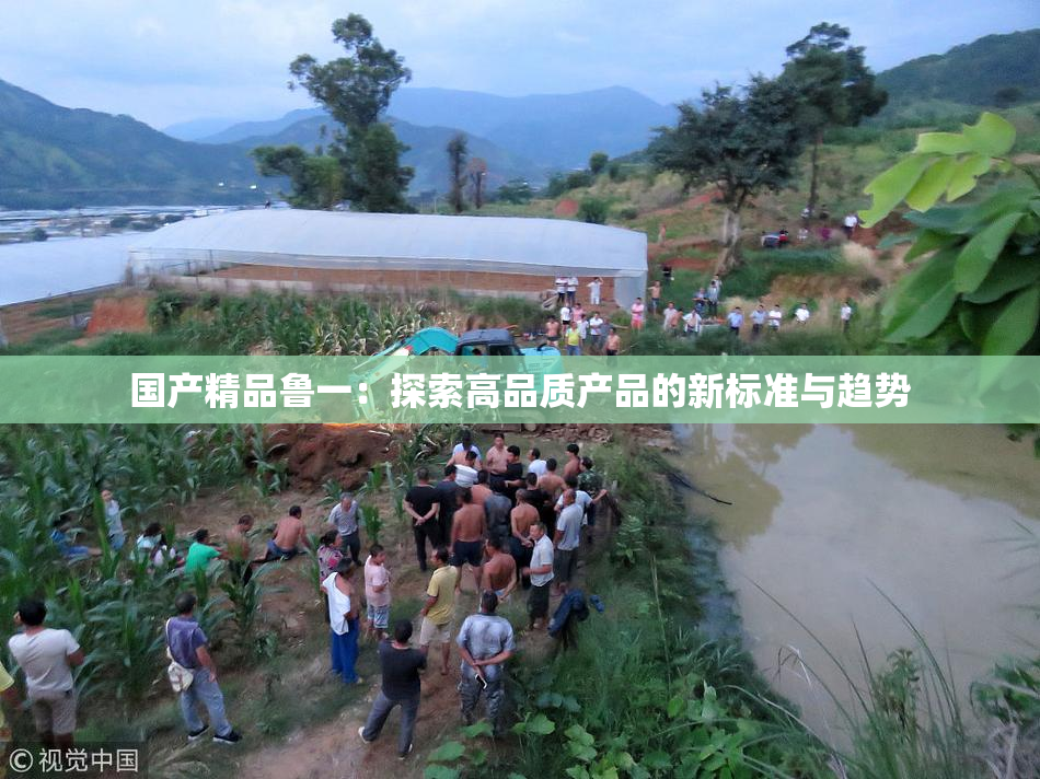 国产精品鲁一：探索高品质产品的新标准与趋势