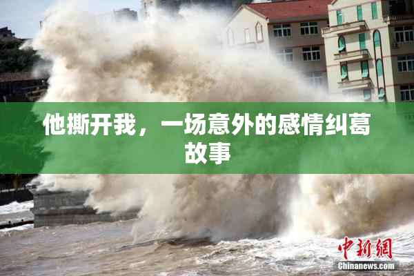 他撕开我，一场意外的感情纠葛故事
